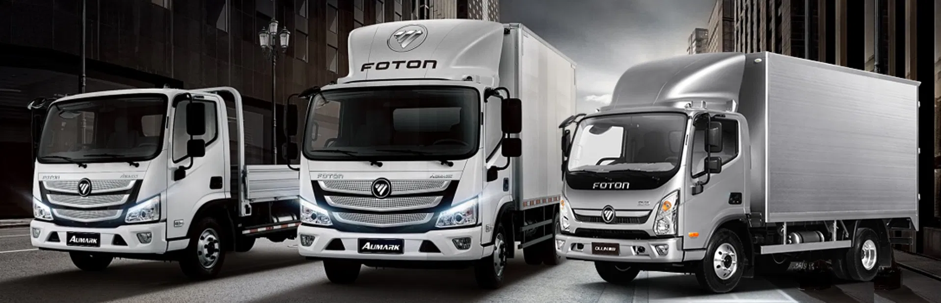 Foton Aumark S