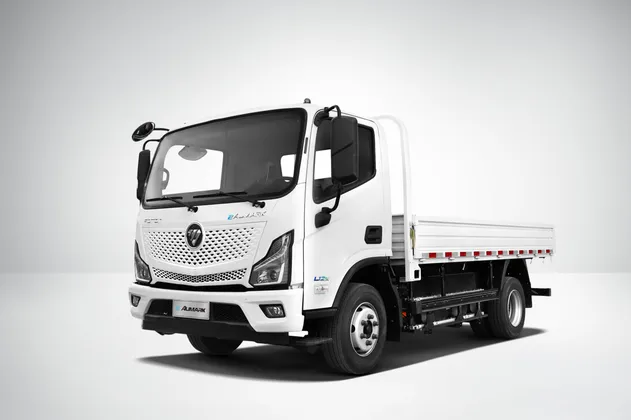Low-Carbon New Energy Commercial Vehicles Foton Electric Mini Van 4X2 LHD 174km EV Cargo Truck